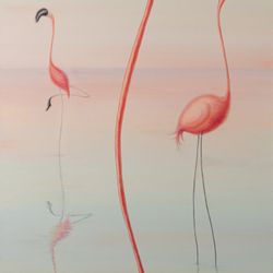 Flamingos