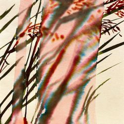 Чернильные цветы № 7. INK FLOWERS NO. 7