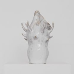 Molluska 11'