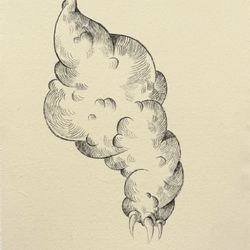Лапка Облако, 1