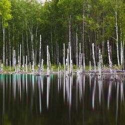 Вода и металлы II