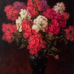 Красные флоксы