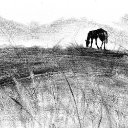 Nomadic