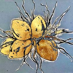 Golden Coconut