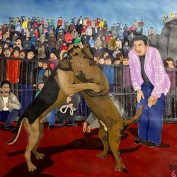 Собачьи бои