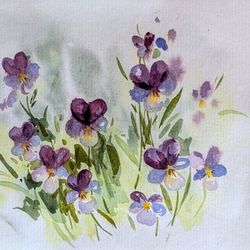 Анютины глазки с Оленьего мыса
