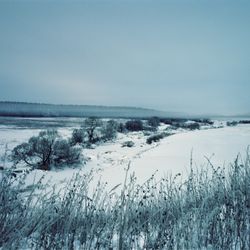 Untitled V
