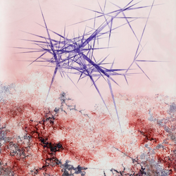 p-landscape #23