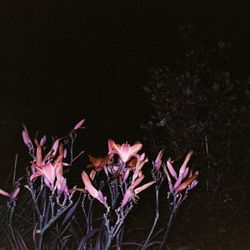 Fragments 3