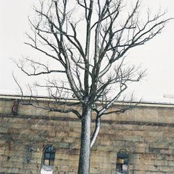 Untitled I