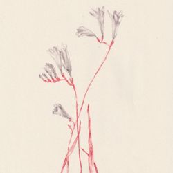 Fleur 03