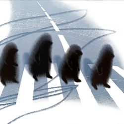 Эбби роуд