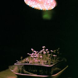Об эфире VI. 50х70