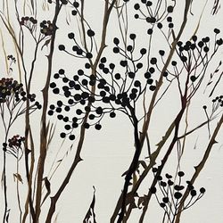 Пижма #2