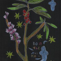 Волчье лыко