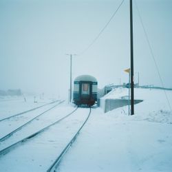 Колари III