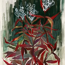 Травы #1