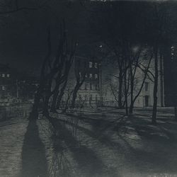Петроградка, по пути домой