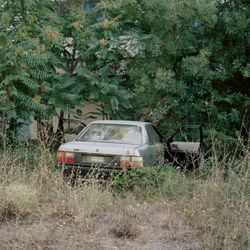 Реверс IX. 60x70