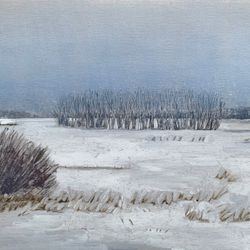 Winter field