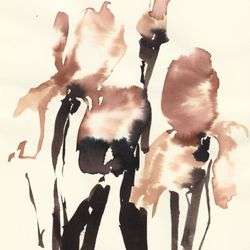 Iris 01