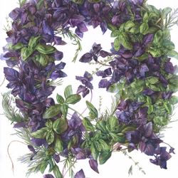 Royal Herbs