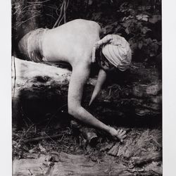 Homo Lignum