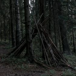 Demarcation IV