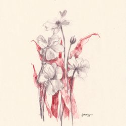 Fleur 02
