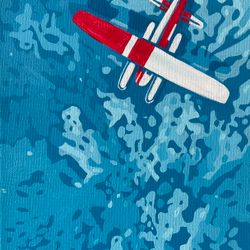 Seaplane