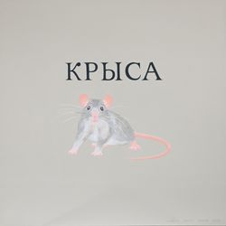 Крыса