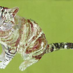Кот с зелёными глазами