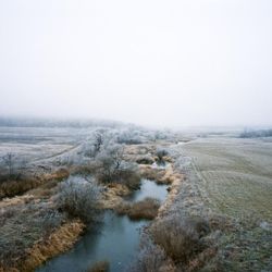 Untitled III