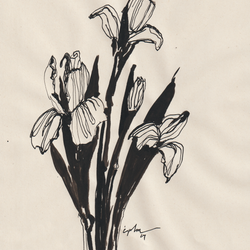 Encre et fleurs 07
