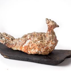 Pavo cristatus (павлин)
