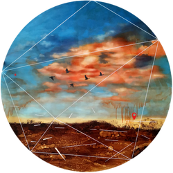 Migration
