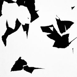 ䷕bì (из серии МА (間))