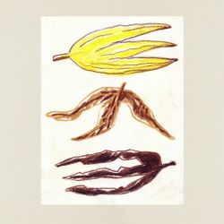 Корки