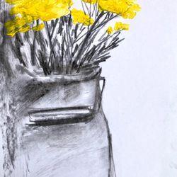 Пижмографика 1