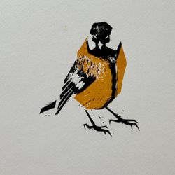 Titmouse