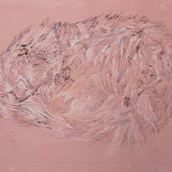 Кот, живущий в горах Кавказа, которого нам довелось встретить на каникулах