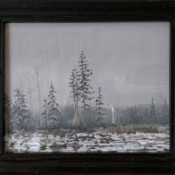 Сосны