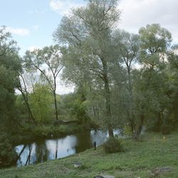 Untitled I