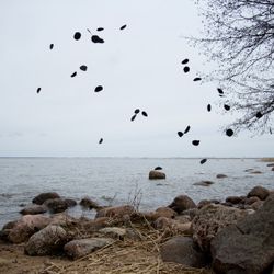 Бледная голубая точка VII