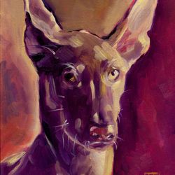 Dog 5