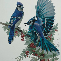 Синие птицы