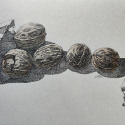 Орехи