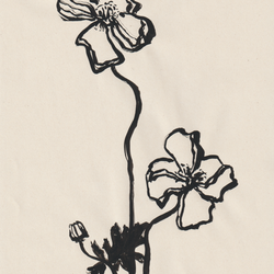 Encre et fleurs 03
