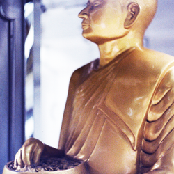 The Gilded Path
