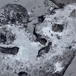 Кораллы и линии